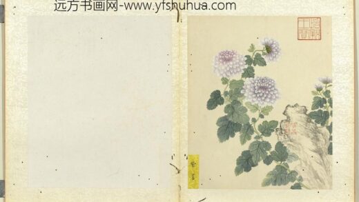无款菊绘册册紫苕.jpg