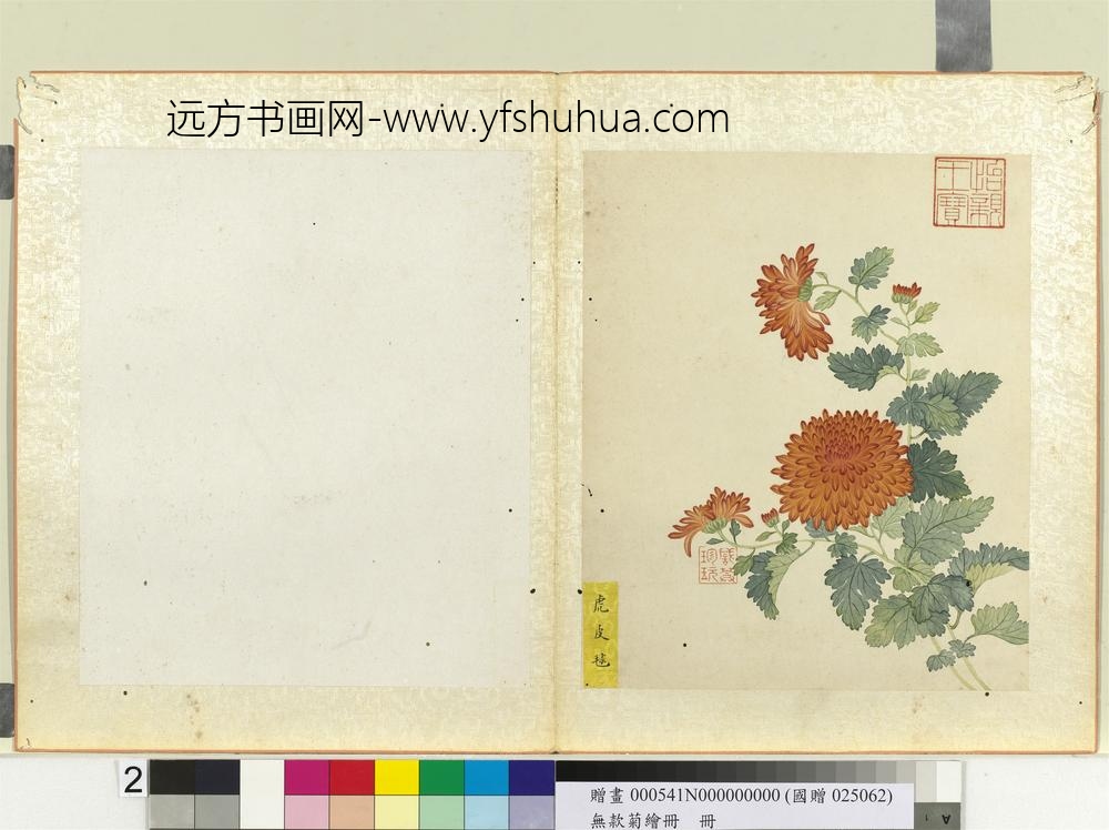 无款菊绘册册虎皮球