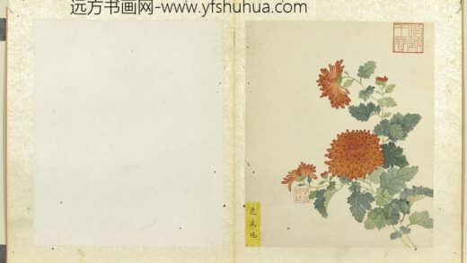 无款菊绘册册虎皮球.jpg