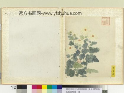 无款菊绘册册蜜芍药.jpg