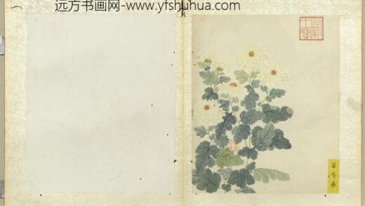 无款菊绘册册蜜芍药.jpg