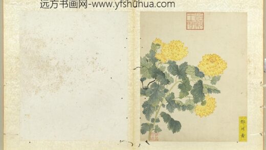 无款菊绘册册邓州黄.jpg