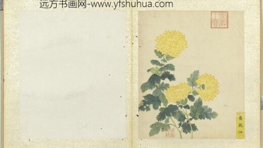 无款菊绘册册黄鹤翎.jpg