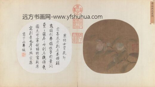 无花果图页.jpg