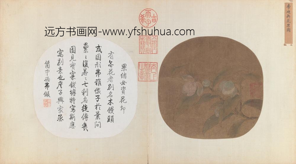 无花果图页