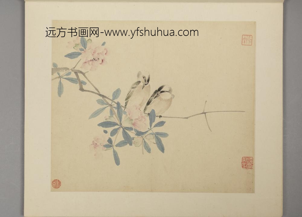 明-凌必正花鸟册-
