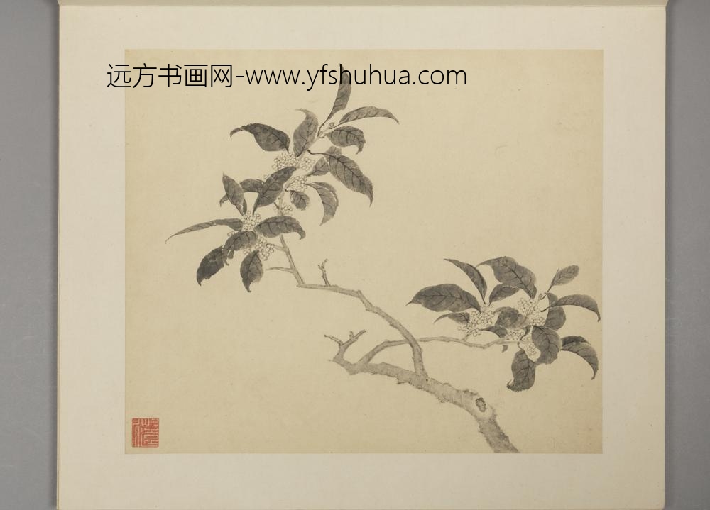 明-凌必正花鸟册-