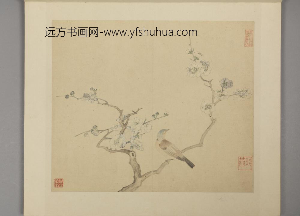 明-凌必正花鸟册-