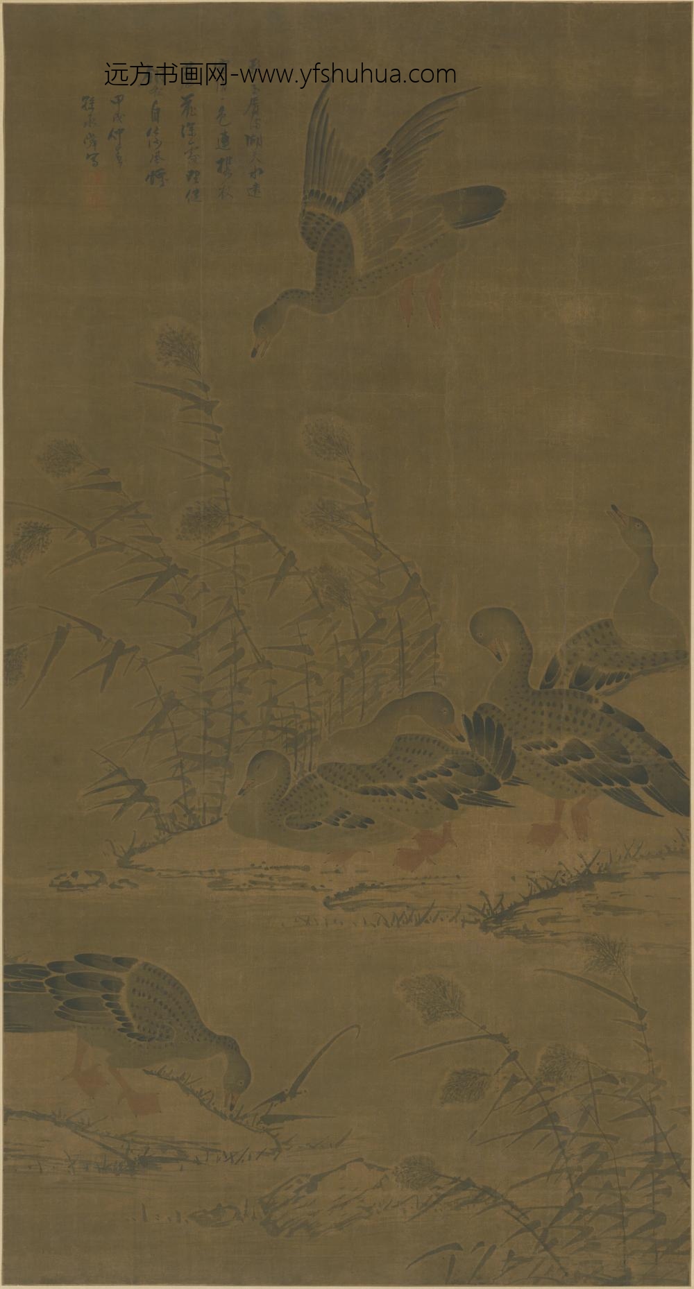 明-孙承舜芦雁轴
