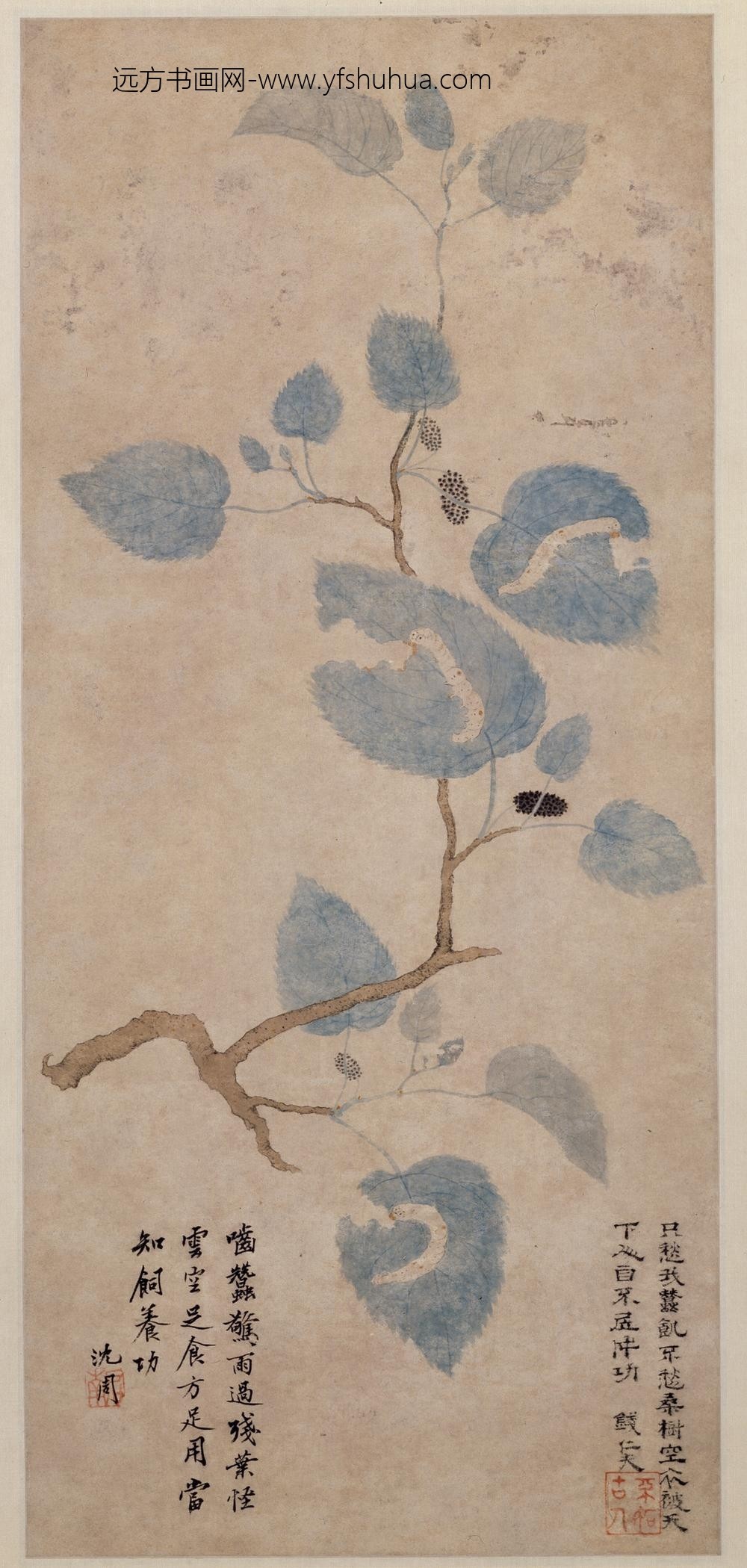 明-孙艾蚕桑图轴