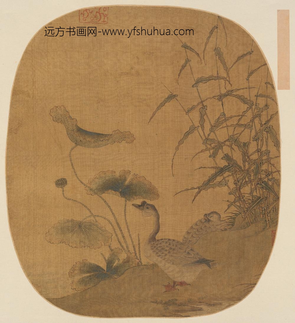 明-宋元集册第二本-明人荷塘双鹅图页