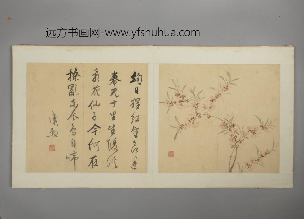 明-戚勋花卉册-