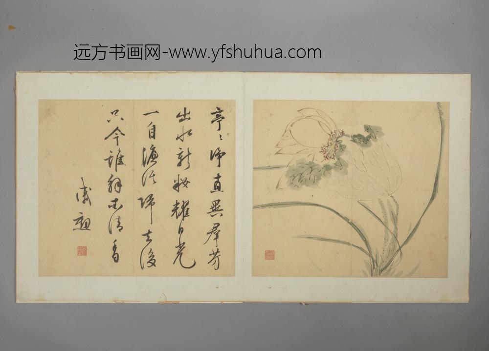 明-戚勋花卉册-