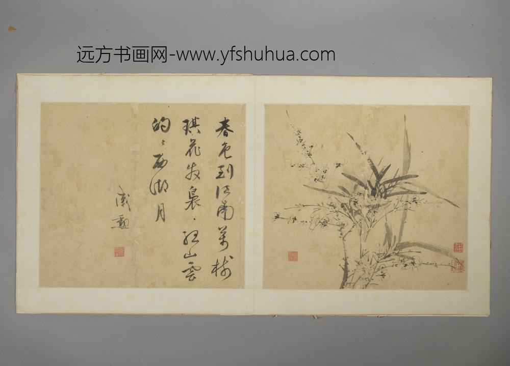 明-戚勋花卉册-