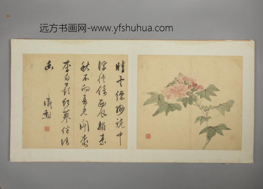 明-戚勋花卉册-