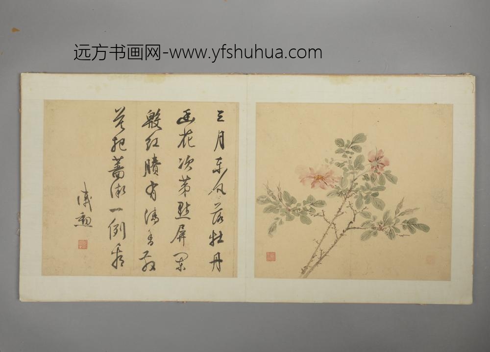 明-戚勋花卉册-