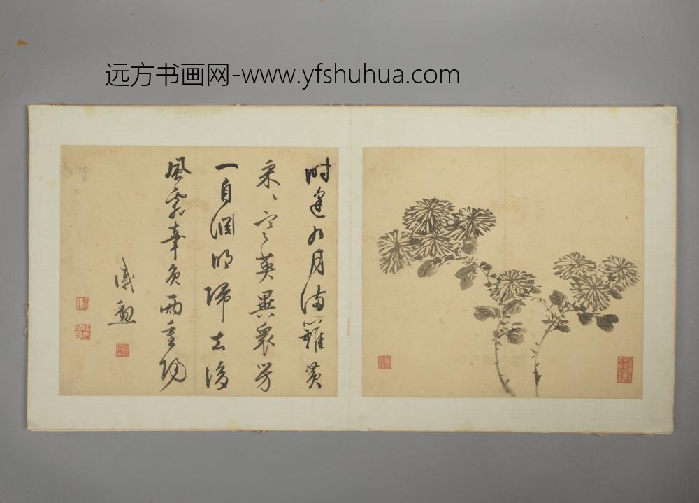 明-戚勋花卉册-