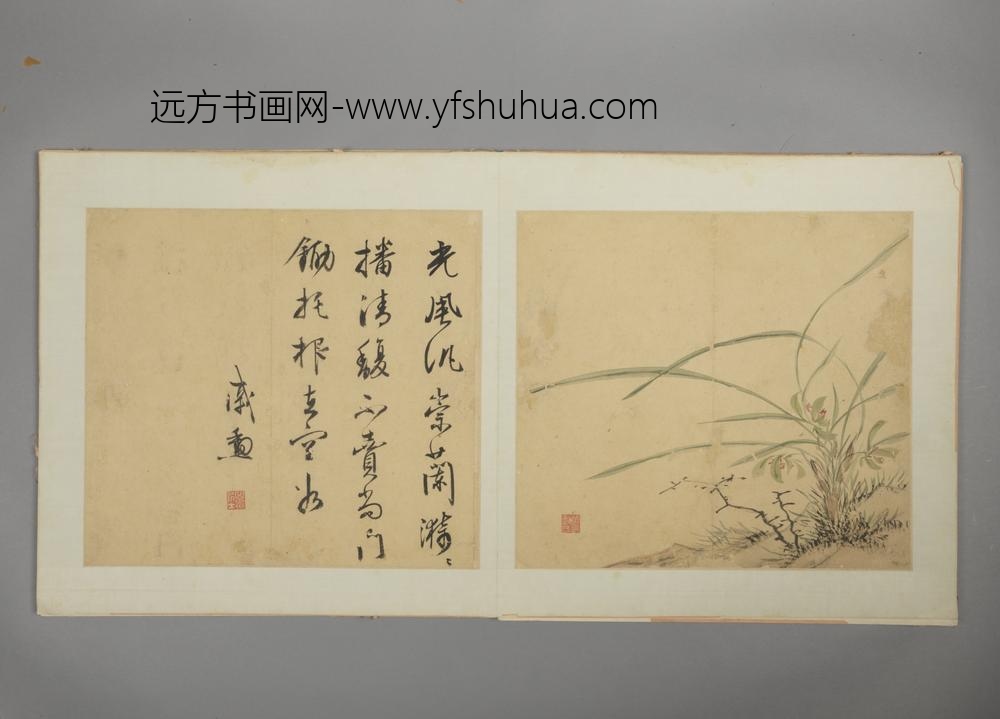 明-戚勋花卉册-