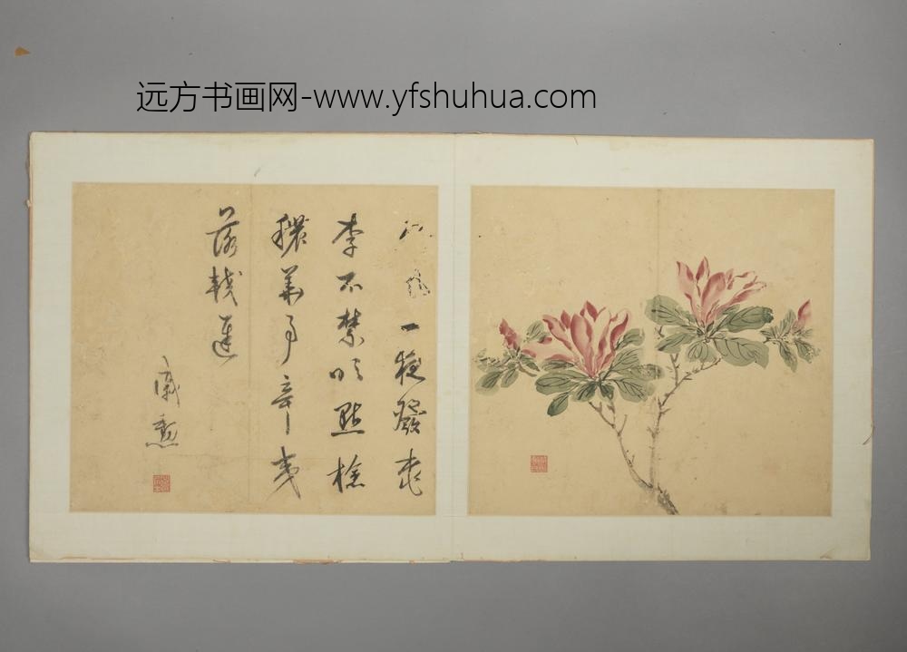 明-戚勋花卉册-
