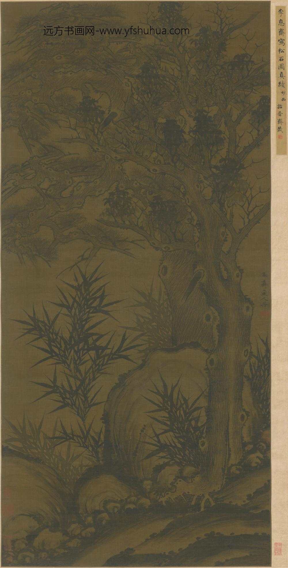 明-明人仿李衎松石图轴