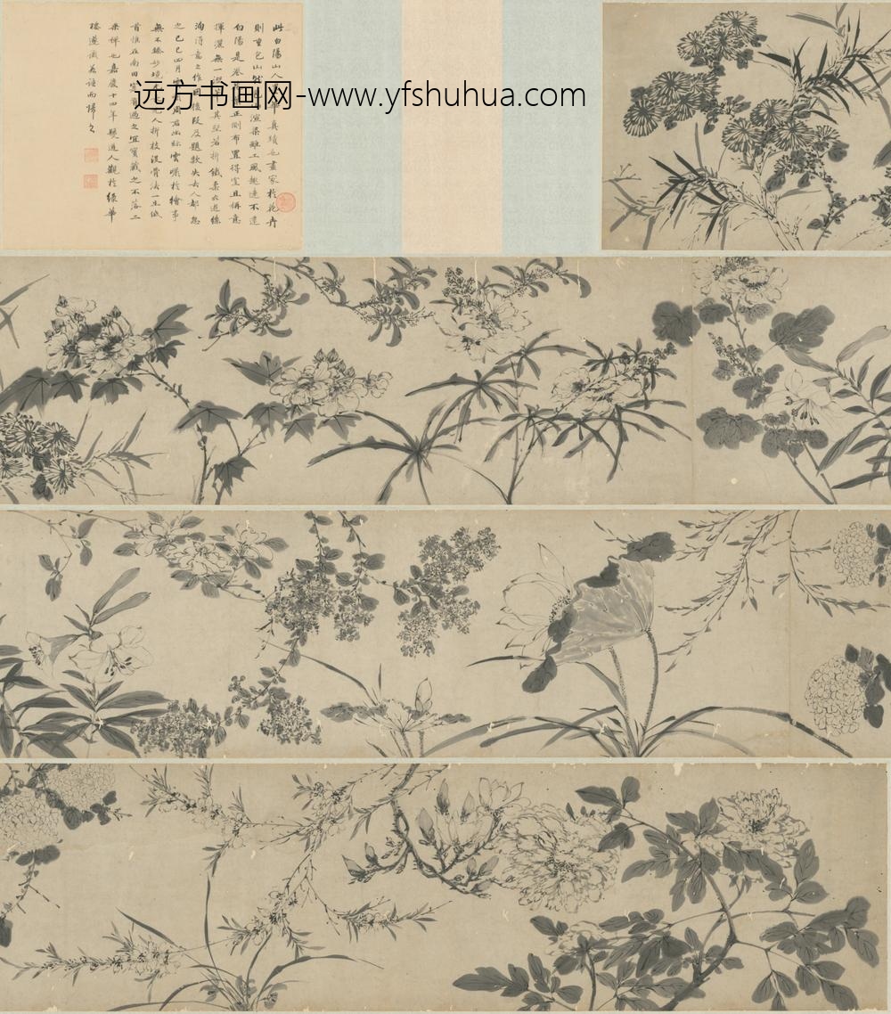 明-明人墨花图卷