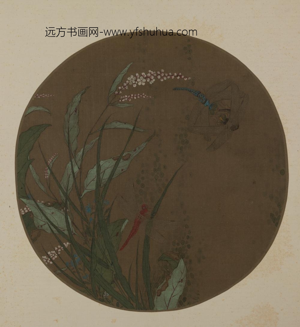 明-明人红蓼蜻蜓纨页