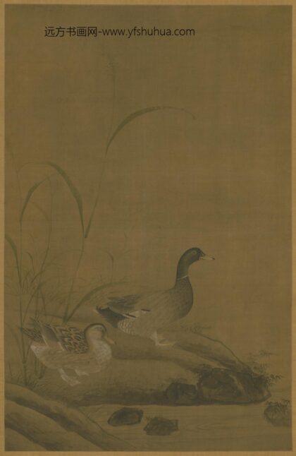 明 明人芦石双鸭图轴.jpg
