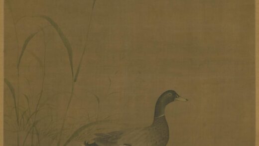 明 明人芦石双鸭图轴.jpg