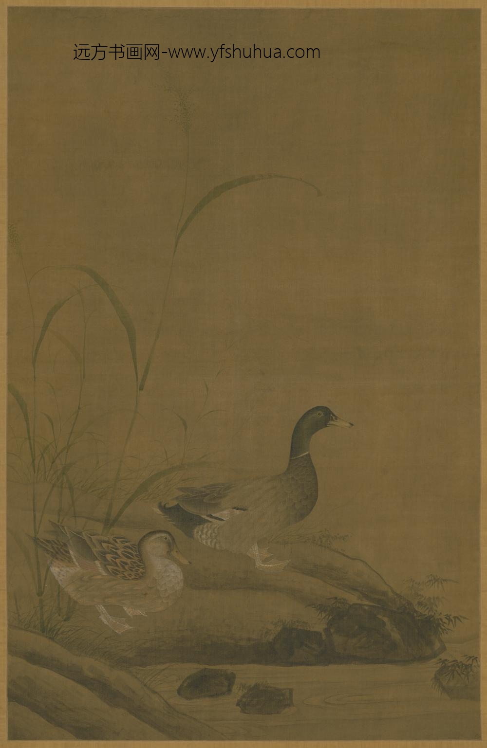 明-明人芦石双鸭图轴
