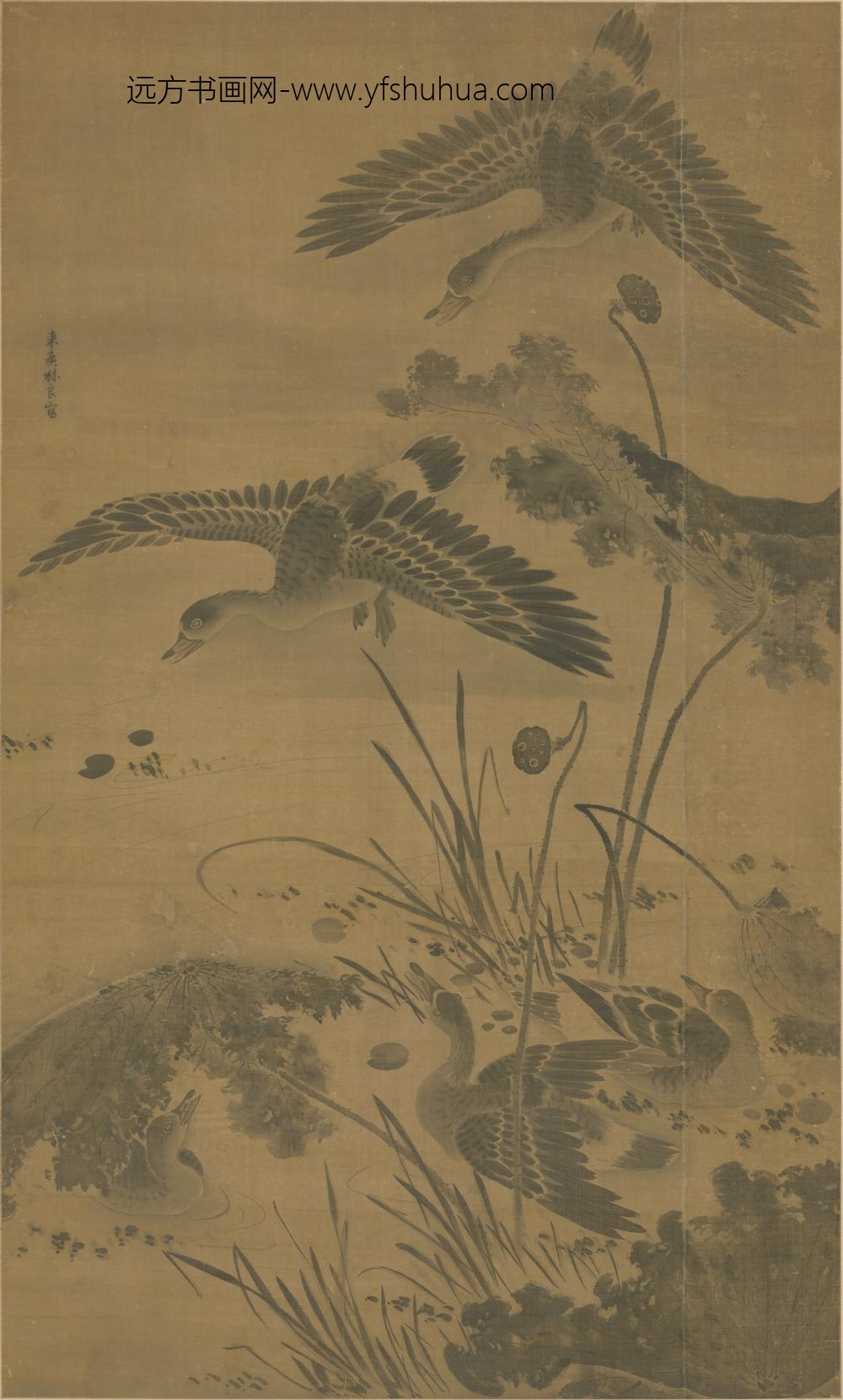 明-明人芦雁图轴