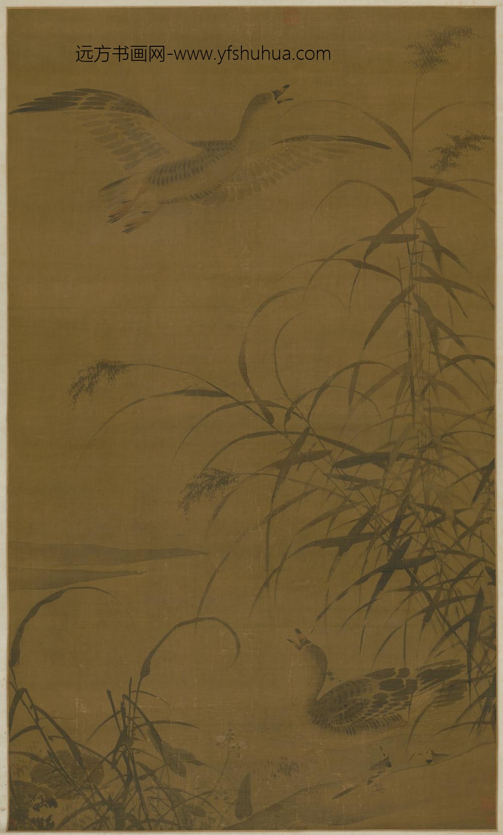 明-明人芦雁图轴