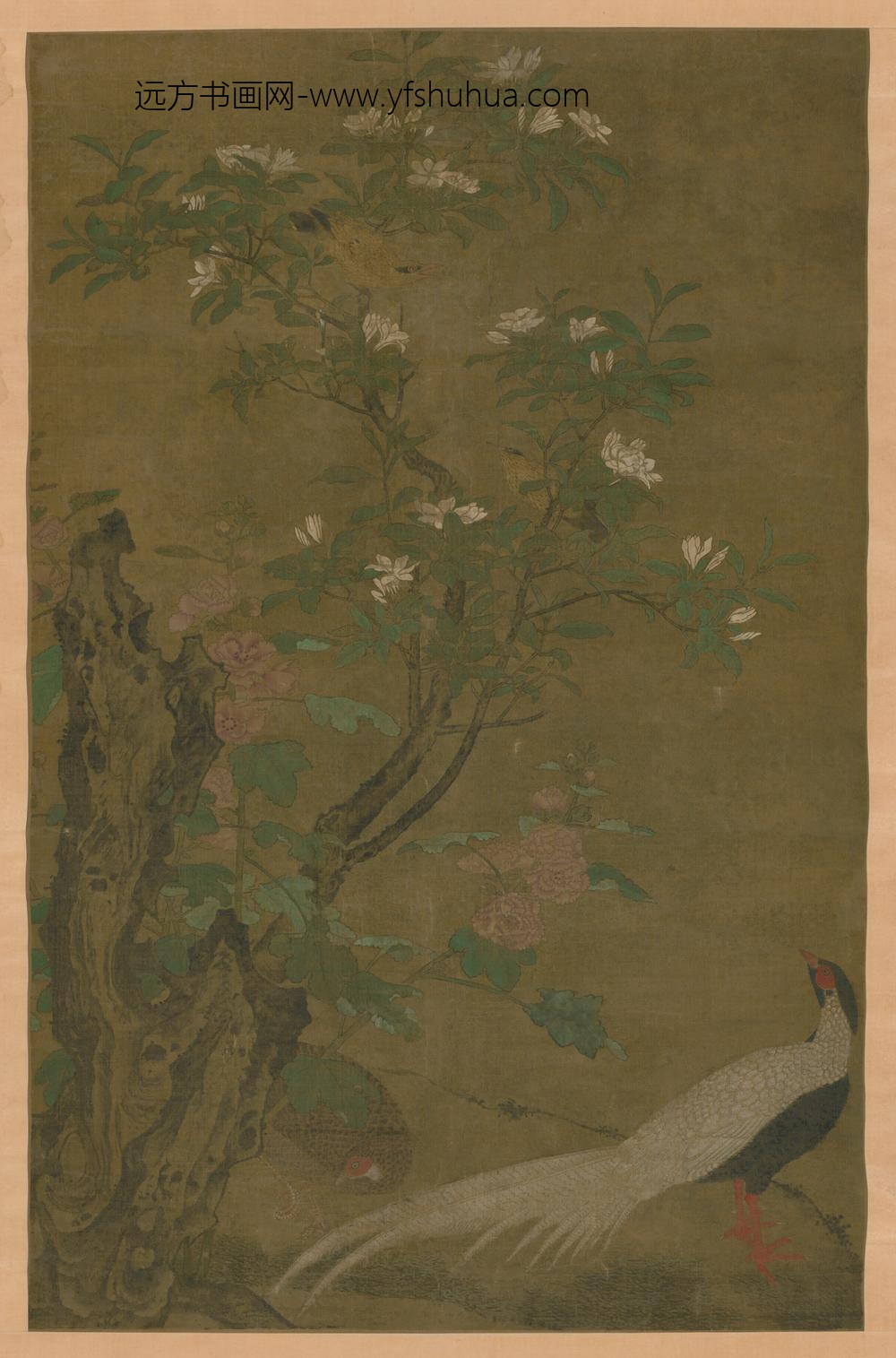 明-明人花石雉鸡图轴