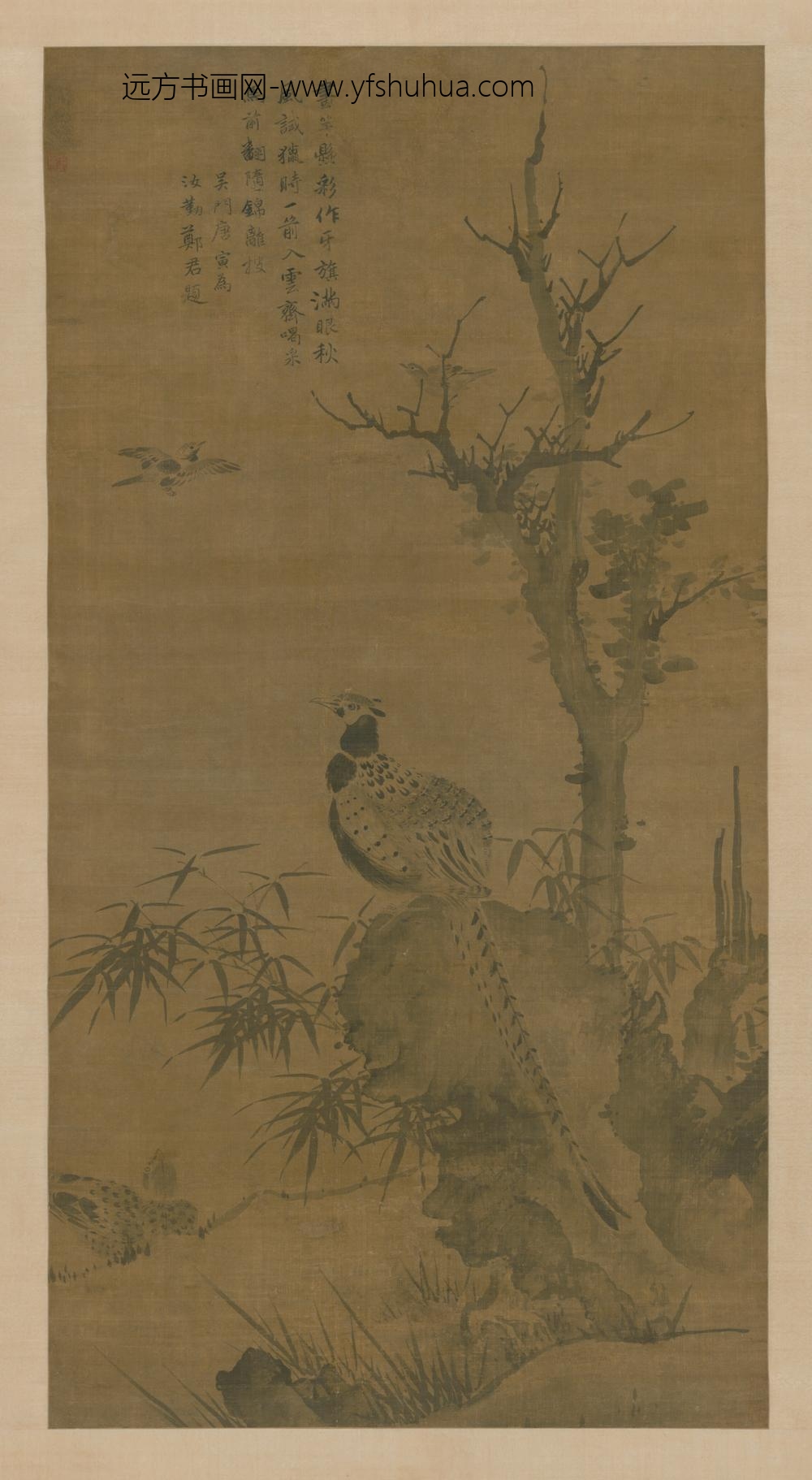 明-明人花鸟图轴
