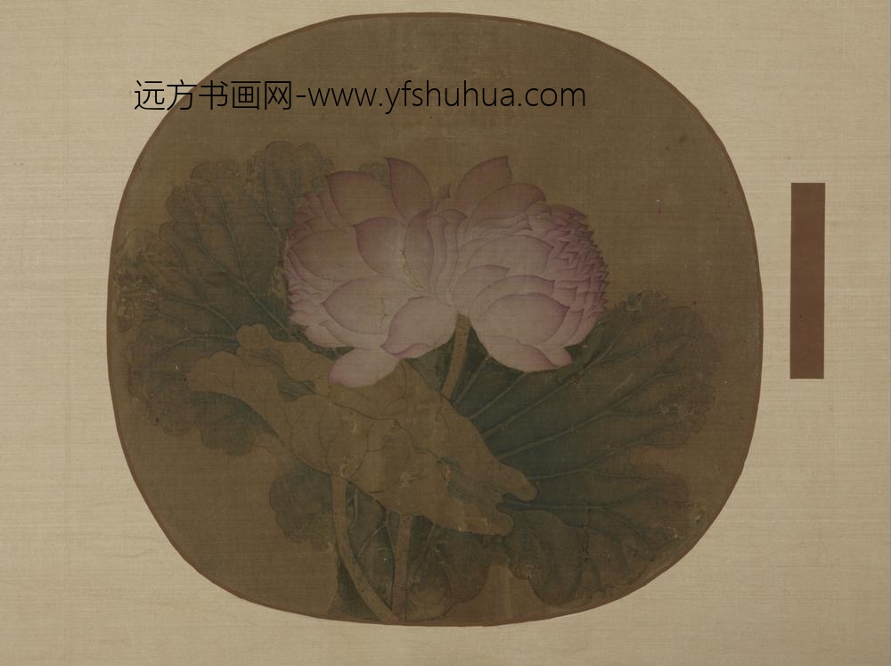 明-明人荷花图扇册