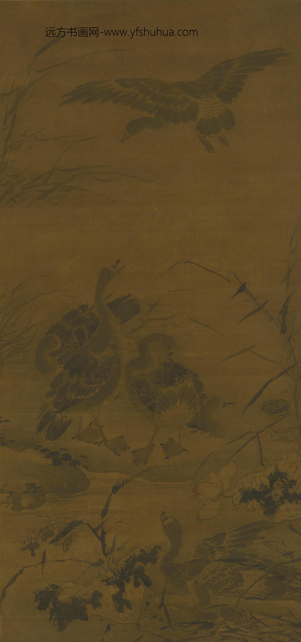 明-明人荷花芦雁图轴