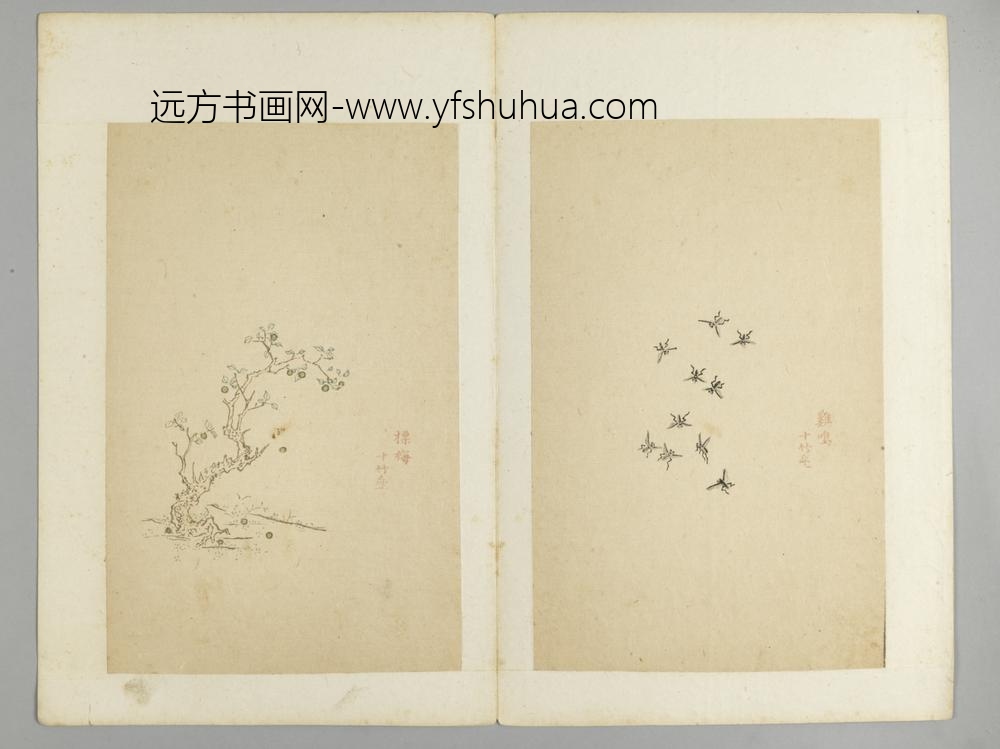 明-木版水印十竹斋五色笺谱册-