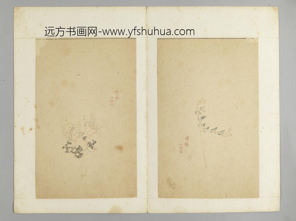 明-木版水印十竹斋五色笺谱册-