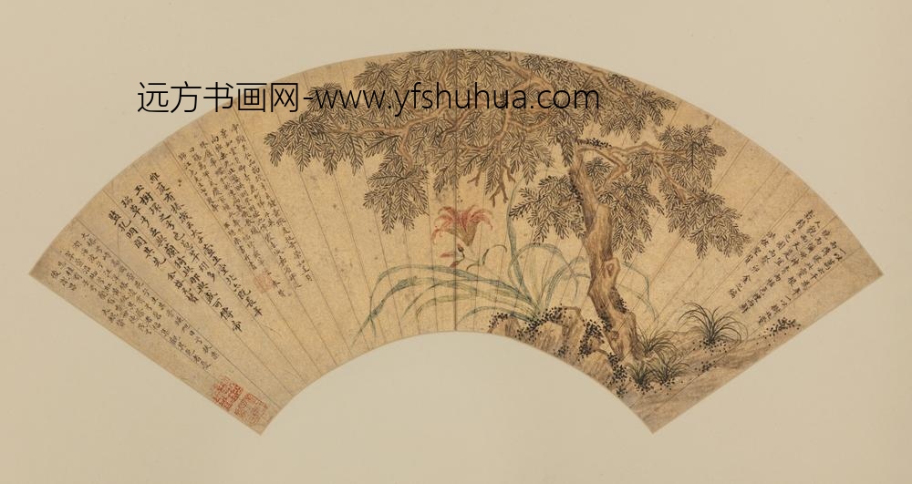 明-毕囗康椿萱图扇页