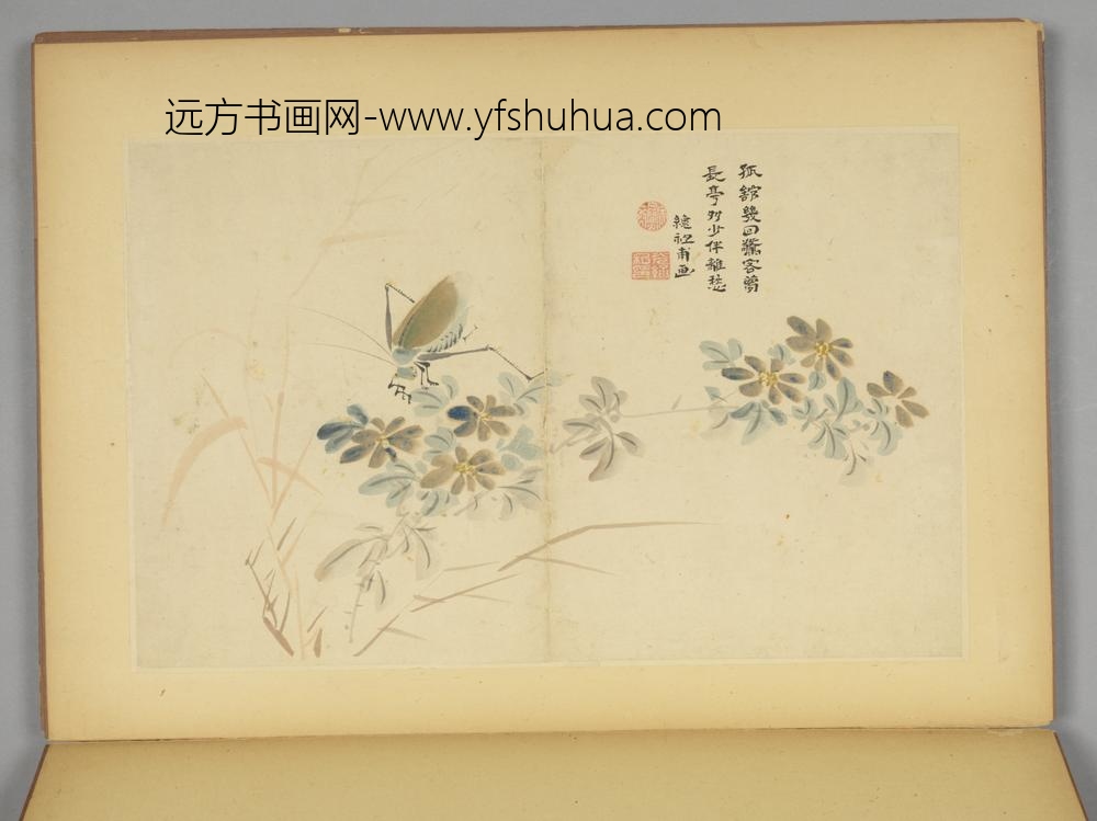 明-毛复光花卉人物册-