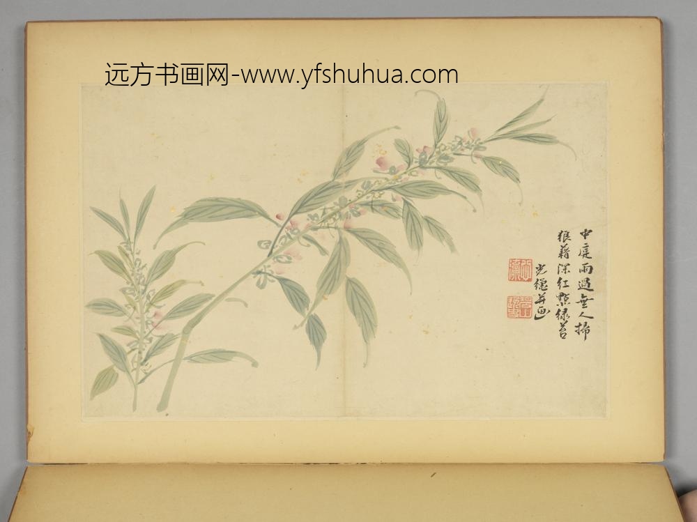 明-毛复光花卉人物册-