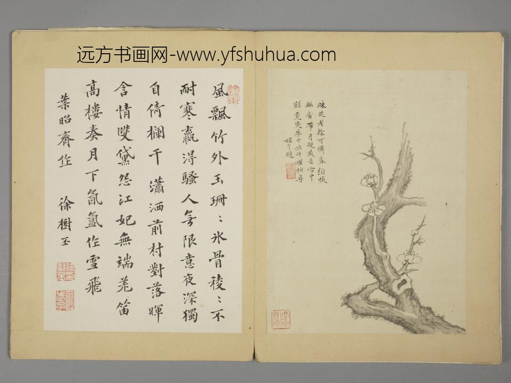 明-沈颢墨梅册-