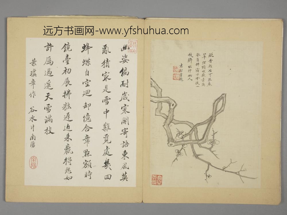 明-沈颢墨梅册-