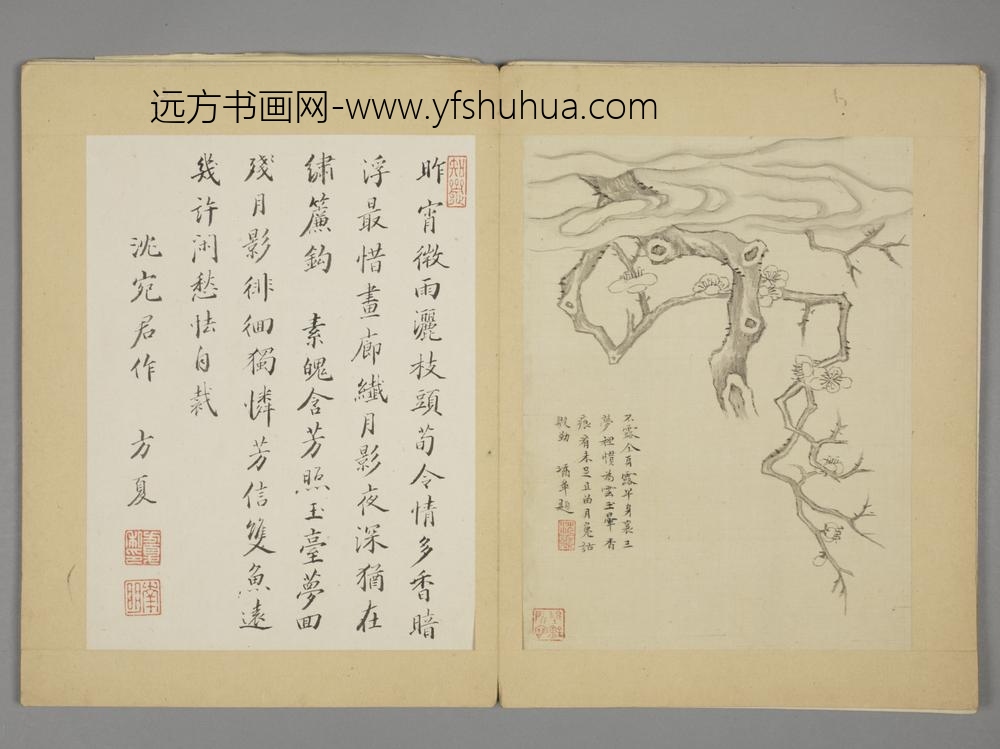 明-沈颢墨梅册-