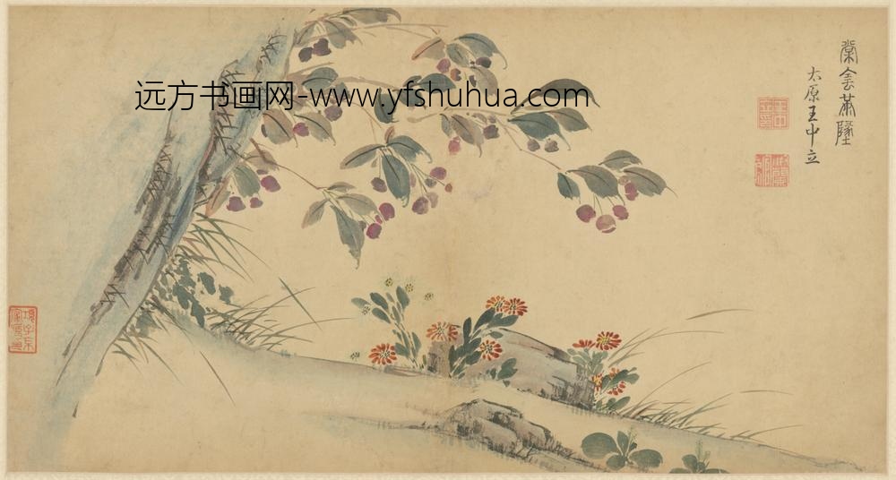 明-王中立花卉册方