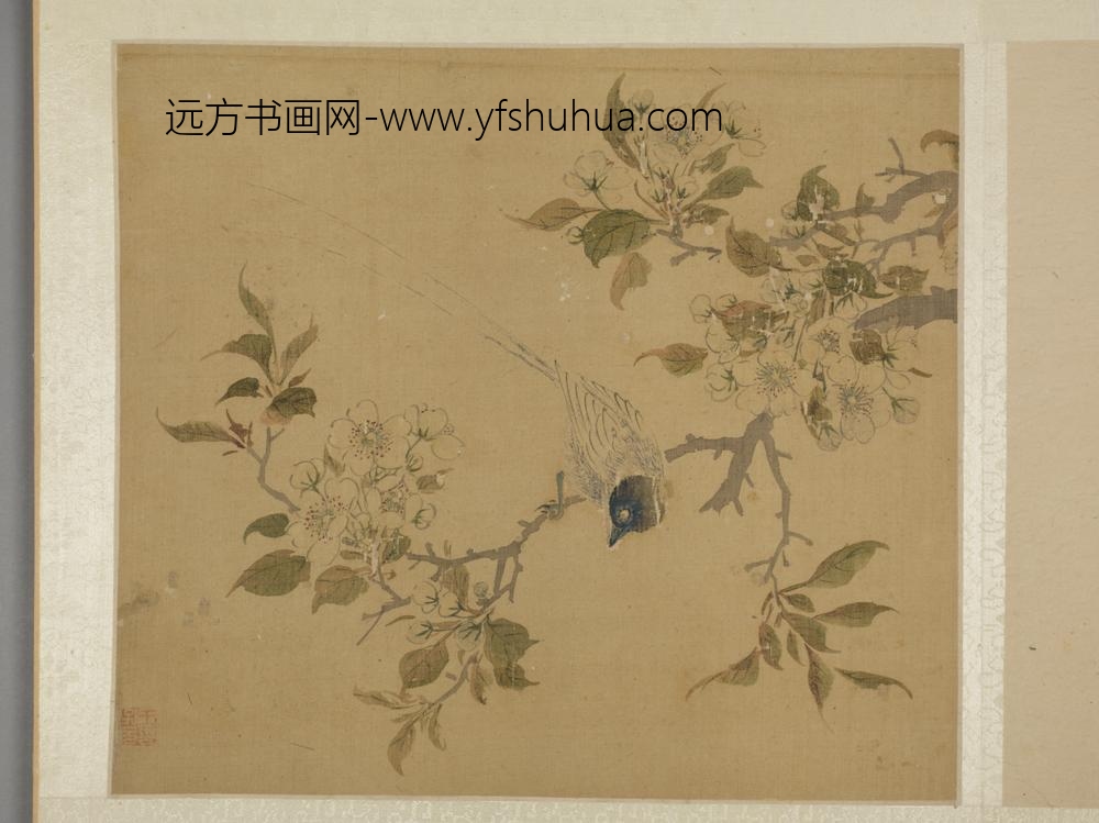 明-王子元花鸟图册-