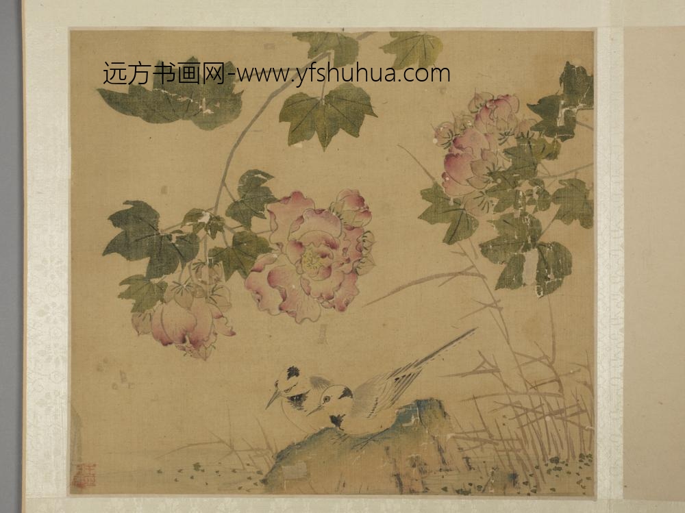 明-王子元花鸟图册-