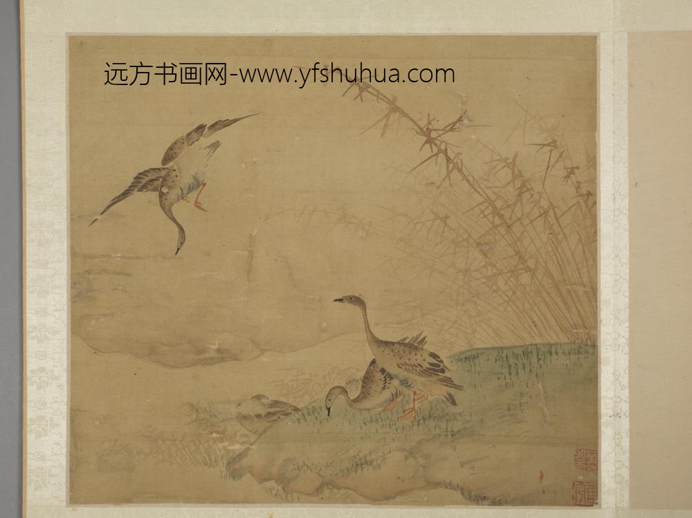 明-王子元花鸟图册-