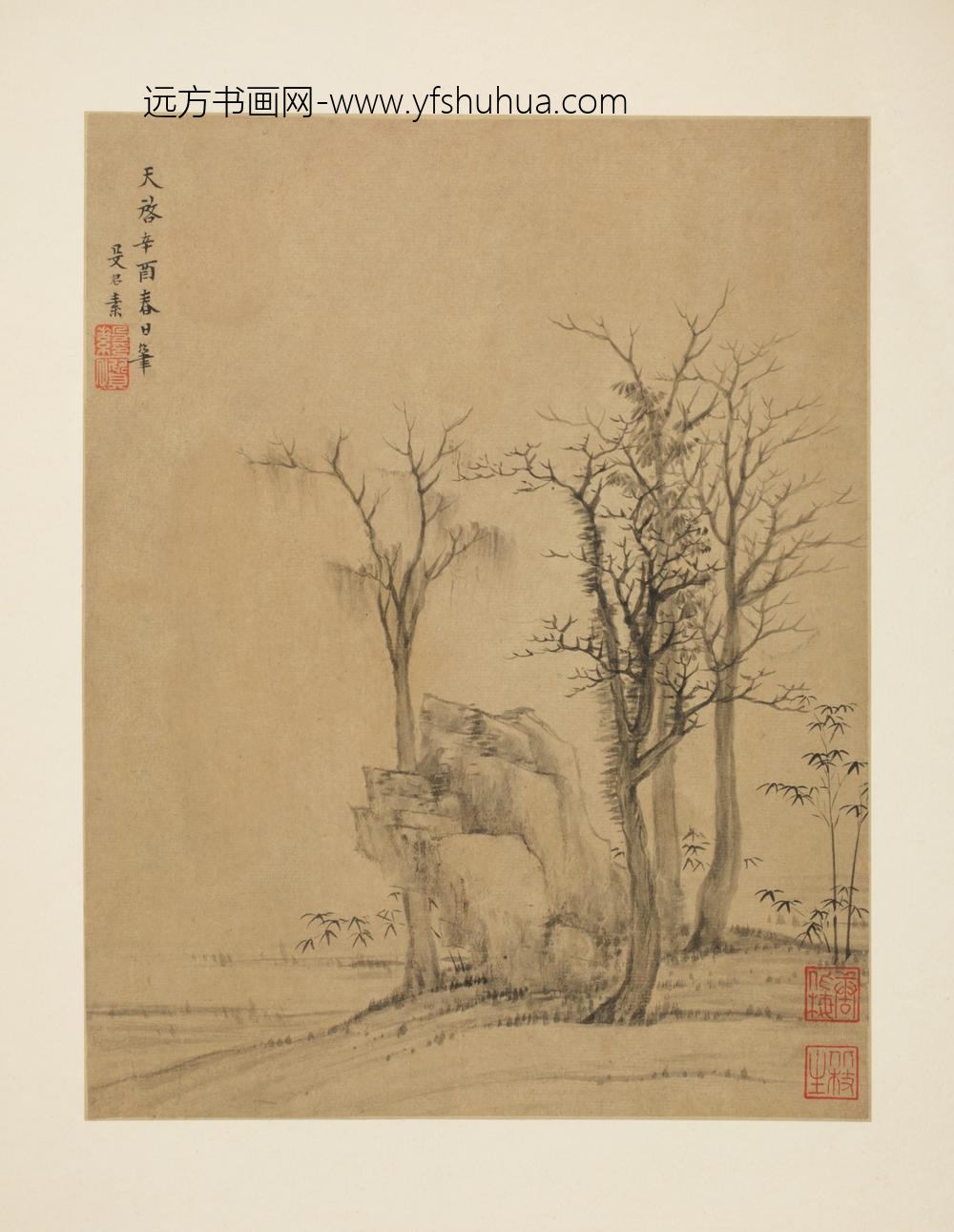 明-诸家山水册-殳君素枯木竹石册页