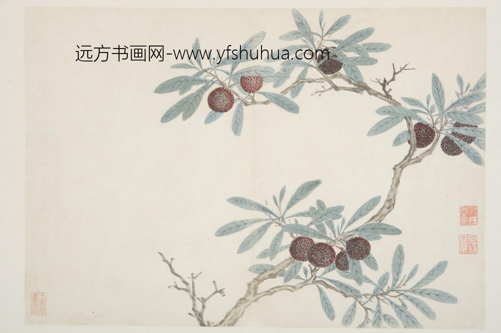 明-谈志伊花鸟册-