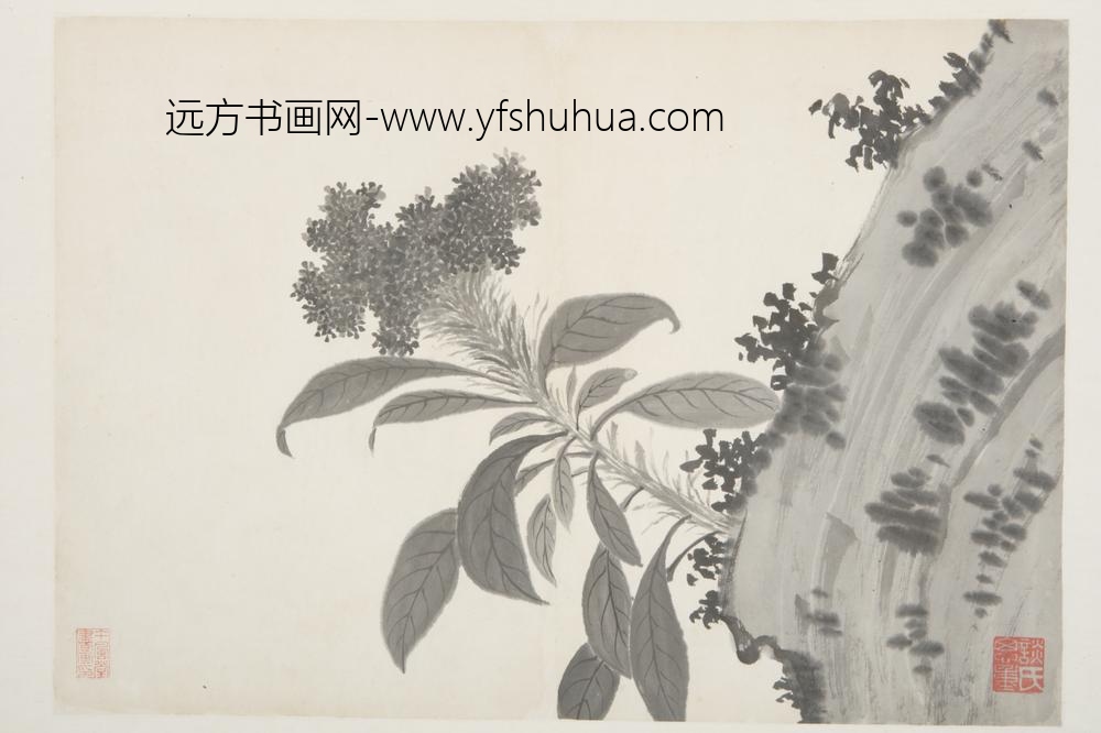 明-谈志伊花鸟册-